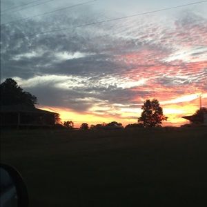 Meet your Posher, Casey